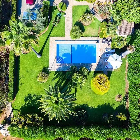 Moreno Villa *